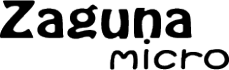 Zaguna micro